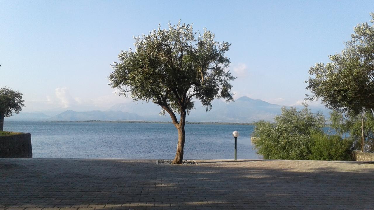 Hotel Shkodra Lake Široka Εξωτερικό φωτογραφία