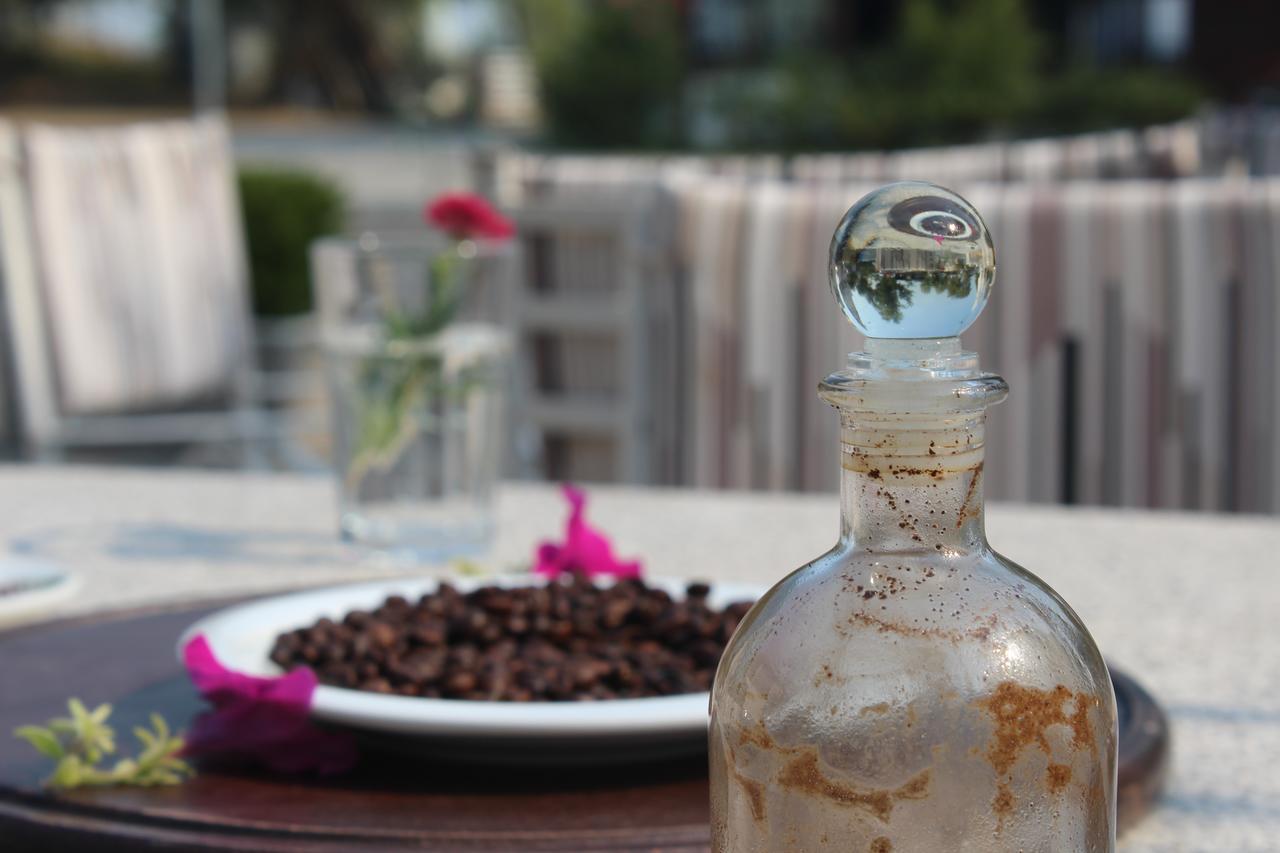 Hotel Shkodra Lake Široka Εξωτερικό φωτογραφία